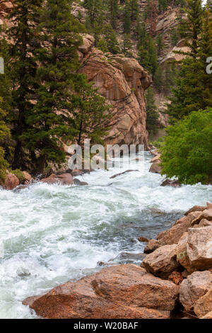 Die South Platte River Oberlauf durch Elf Mile Canyon, Colorado fließt, darunter auch einige Hirsche, die den Platz zu Hause anrufen. Stockfoto