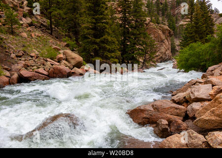 Die South Platte River Oberlauf durch Elf Mile Canyon, Colorado fließt, darunter auch einige Hirsche, die den Platz zu Hause anrufen. Stockfoto