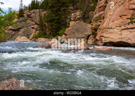 Die South Platte River Oberlauf durch Elf Mile Canyon, Colorado fließt, darunter auch einige Hirsche, die den Platz zu Hause anrufen. Stockfoto