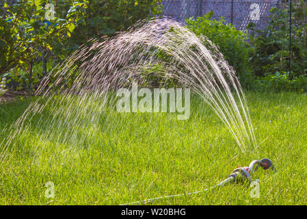 Garten Sprinkler auf sonnigen Sommertag Bewässerung grünes frisches Gras. Stockfoto