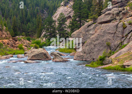 Die South Platte River Oberlauf durch Elf Mile Canyon, Colorado fließt, darunter auch einige Hirsche, die den Platz zu Hause anrufen. Stockfoto