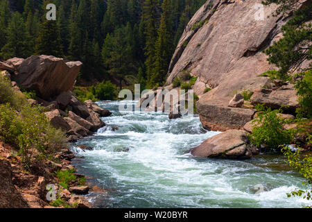 Die South Platte River Oberlauf durch Elf Mile Canyon, Colorado fließt, darunter auch einige Hirsche, die den Platz zu Hause anrufen. Stockfoto