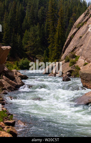 Die South Platte River Oberlauf durch Elf Mile Canyon, Colorado fließt, darunter auch einige Hirsche, die den Platz zu Hause anrufen. Stockfoto