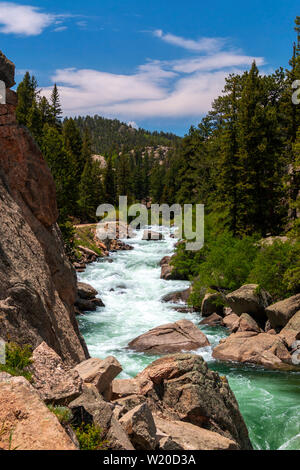 Die South Platte River Oberlauf durch Elf Mile Canyon, Colorado fließt, darunter auch einige Hirsche, die den Platz zu Hause anrufen. Stockfoto