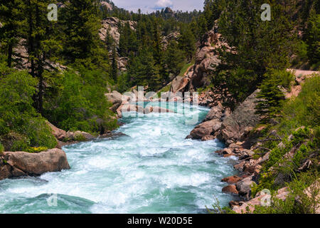 Die South Platte River Oberlauf durch Elf Mile Canyon, Colorado fließt, darunter auch einige Hirsche, die den Platz zu Hause anrufen. Stockfoto