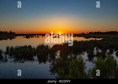 Atemberaubende Frühjahr Sonnenuntergang über Marsch und Wattenmeer Florida Everglades. Stockfoto