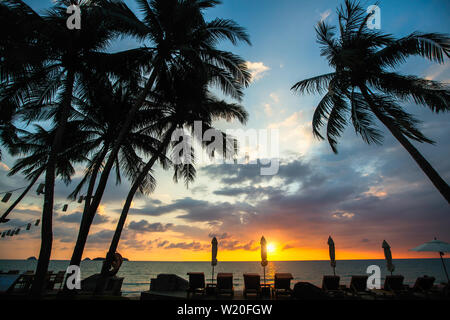 Tropischen Palmen Silhouette gegen einen blauen Himmel Sonnenuntergang auf dem Meer Strand. Stockfoto