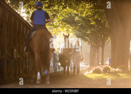 Saratoga Springs, New York, USA. 4. Juli 2019. Juli 4, 2019: Der Blick auf die Oklahoma Training Schiene und die Scheune Bereich auf der Rückseite auf Sleepy 4. Juli Urlaub morgen bei Saratoga Race Course, Saratoga Springs, New York. Wei ZhangEclipse SportswireCSM/Alamy leben Nachrichten Stockfoto