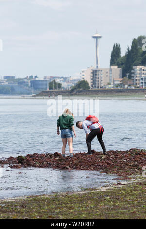 Ein junges Paar erforscht Alki Beach Park während eines ungewöhnlich niedrigen Tide am Donnerstag, Juli 4, 2019 in Seattle, Washington. Gezeiten erreicht den niedrigsten Gezeiten des Jahres bei -3,4 Füße am Mittwoch und Donnerstag. Stockfoto