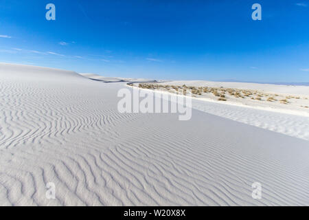 Wüstenlandschaft Des Amerikanischen Südwestens. Wüstenlandschaft mit Kopierraum am White Sands National Monument in New Mexico Stockfoto