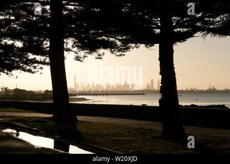 Blick auf die Skyline von Melbourne, Australien, fotografiert vom Altonaer Strand und von ein paar Bäumen eingerahmt. Stockfoto