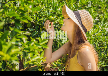 Portrait von attraktiven Bauer Frau Ernte Orange in Organic Farm, fröhliches Mädchen im Glück Emotionen beim Ernten Orangen in den Garten Stockfoto