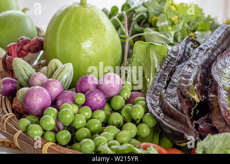 Gemüse in Thailand, Aubergine, Purple Winged Bean, bitteren Kürbis, Melone und roter Chili. Stockfoto