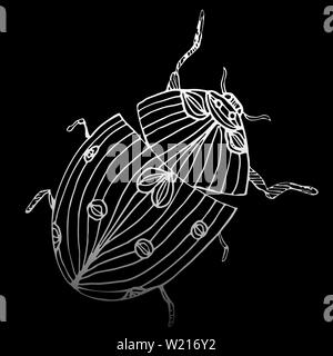 Abstract Vector Illustration der Marienkäfer oder Marienkäfer auf schwarzem Hintergrund isoliert. Tuschezeichnung, grafischen Stil. Skizze Skizze. Stock Vektor