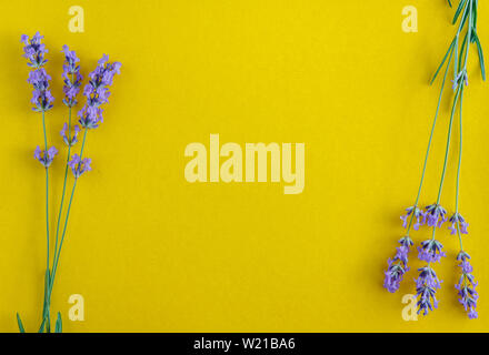Blumenstrauß aus frischem Lavendel Blumen auf einem gelben Hintergrund, Ansicht von oben. Kopieren Sie Platz. Flach. Stockfoto