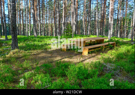 Ruhebereich Tisch und Bank in einem schwedischen Wald Stockfoto