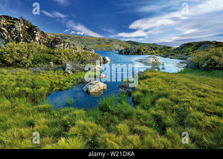 Grüne Berglandschaft mit See und Granitfelsen Stockfoto