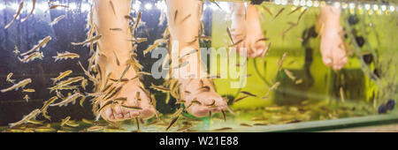 Mutter und Sohn am Fish Spa BANNER, LANGE FORMAT Stockfoto