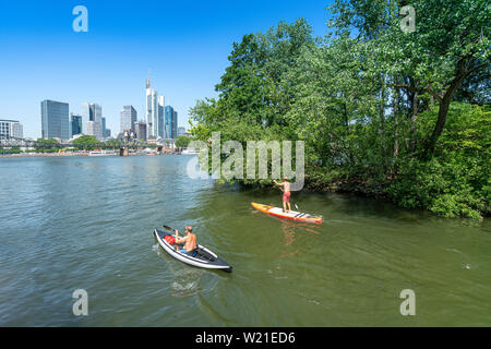 Frankfurt am Main, Deutschland. Juli 2019. Einige Kanuten auf dem Main mit der Skyline der Stadt im Hintergrund Stockfoto