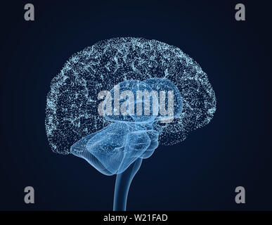 Menschliche Gehirn Röntgen-Scan, medizinisch genaue 3D-Illustration Stockfoto