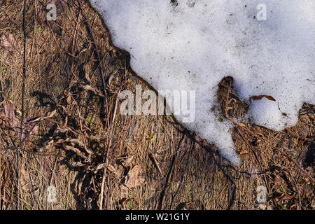 Trockenes Gras und Schneeschmelze, Ansicht von oben. Stockfoto