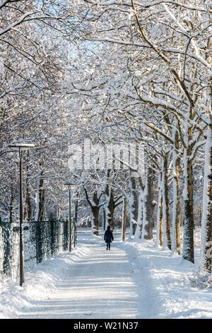 Fußgänger wandern, weg in einem Park durch verschneite Bäume, Harlaching, München, Bayern, Deutschland Stockfoto