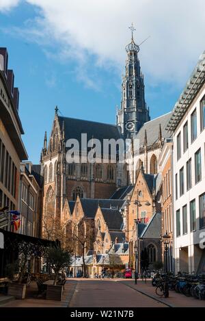 Gotische Kathedrale Sint-Bavokerk, Grote Markt, Haarlem, Provinz Nordholland, Friesland, Niederlande Stockfoto