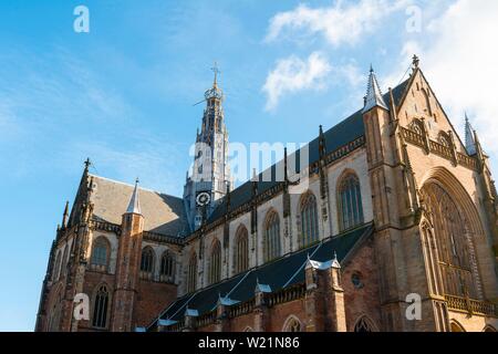 Gotische Kathedrale Sint-Bavokerk, Grote Markt, Haarlem, Provinz Nordholland, Friesland, Niederlande Stockfoto