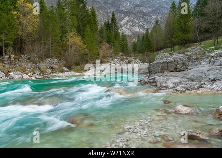 Smaragdgrün wilden Fluss Soca, Soca Tal, Triglav Nationalpark, Bovec, Slowenien Stockfoto