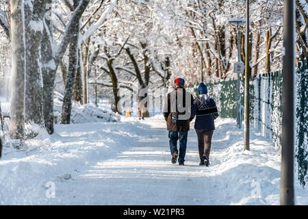 Fußgänger, Paar, Pfad in einem Park durch das verschneite Bäume, Harlaching, München, Bayern, Deutschland Stockfoto