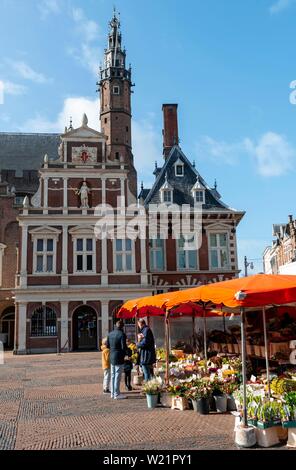 Rathaus mit Kirche St. Bavokerk, blumenstand Grote Markt, Marktplatz in Haarlem, Provinz Nord Holland, Holland, Niederlande Stockfoto