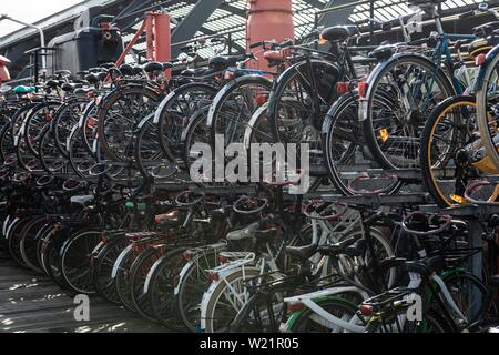 Viele Fahrräder im Fahrrad steht, Parkplatz für Fahrräder, hohe Frame, Amsterdam, Niederlande Stockfoto