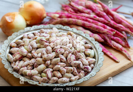 Frische oder Cranberry borlotti Bohnen auf Holz- Hintergrund Stockfoto