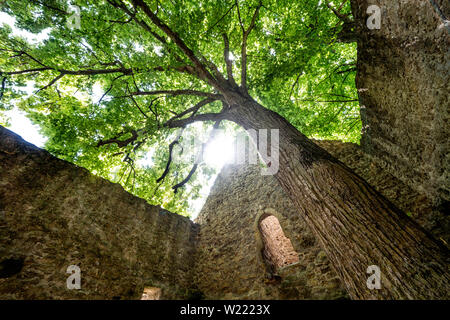 Ehemalige evangelische Pfarrkirche von Abterode, Werra-Meißner-Kreis, Hessen, Deutschland, Europa Stockfoto