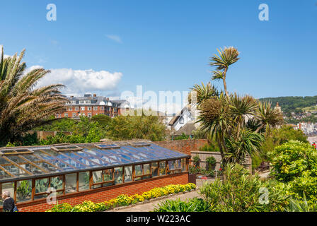 Gewächshaus mit Blüte Grenzen in sub-tropischen Connaught Gardens, Sidmouth, einem beliebten Südküste Küstenstadt in Devon, im Südwesten Englands Stockfoto