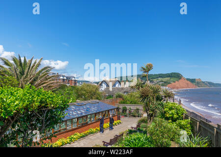 Gewächshaus mit Blüte Grenzen in sub-tropischen Connaught Gardens, Sidmouth, einem beliebten Südküste Küstenstadt in Devon, im Südwesten Englands Stockfoto