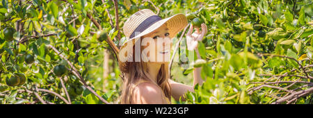 BANNER, LANGE FORMAT Portrait von attraktiven Bauer Frau Ernte Orange in Organic Farm, fröhliches Mädchen im Glück Emotionen beim Ernten Orangen Stockfoto