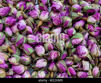 Rosen Tee, Hintergrund getrocknet. Stockfoto