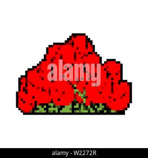 Rosenbusch Pixel-art isoliert. Blumen 8 bit Stock Vektor