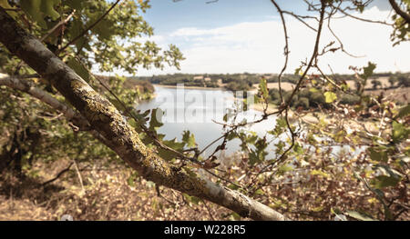 Ansicht der Jaunay See in Vendee Frankreich ein Sommertag Stockfoto