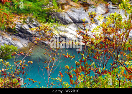 Das türkisfarbene Wasser der Gletscher gespeist Hokitika Gorge in Neuseeland schaffen eine exquisite Hintergrund für bunte Blätter. Stockfoto