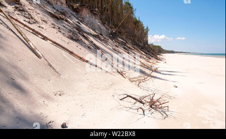 Tote Bäume im Sand Slowinski Nationalpark, Leba, Polen, Ostsee Stockfoto