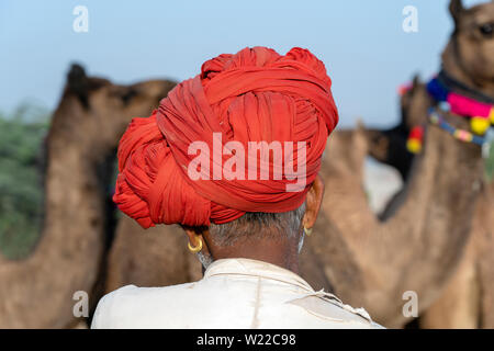 Indische Männer und Herde Kamele in der Wüste Thar in Pushkar Kamel Mela in der Nähe der heiligen Stadt Pushkar, Rajasthan, Indien. Diese Messe ist die größte Camel Trading Fair Stockfoto