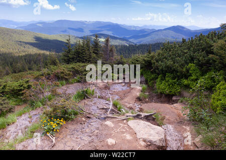 Schöne stimmungsvolle Aussicht auf die Karpaten und Beginn der Stream auf dem Berg Hoverla. Es ist der höchste Berg der ukrainischen Ca Stockfoto