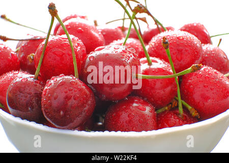 Schönen Bouquet von Kirschen. Frische reife rote Beeren, Stiele und Tropfen Wasser. Selektiver Fokus Stockfoto