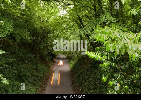 Steile Feldweg schmaler, Vigo Hill, mit großen überhängenden Laubwälder mit steilen Ufern durch Chalk, Downhill suchen Stockfoto