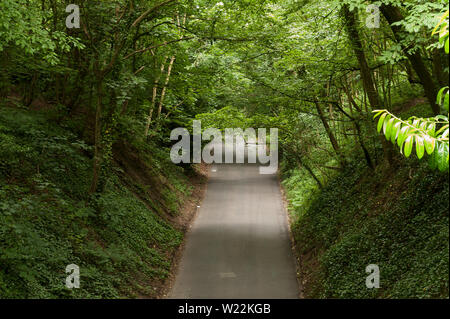 Steile Feldweg schmaler, Vigo Hill, mit großen überhängenden Laubwälder mit steilen Ufern durch Chalk, Downhill suchen Stockfoto