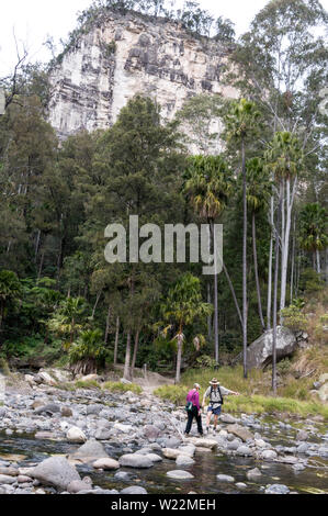 Ein paar Wanderer Stepping über Geröll in der Carnarvon Creek im Eukalyptuswald in der Carnarvon Gorge National Park in der Zentralen Hoch Stockfoto