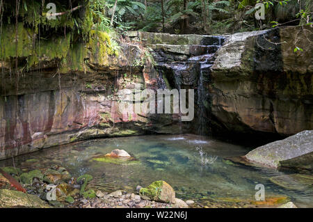 Die Moss-Garten Wasserfall ist die erste Attraktion, die Wanderer während ihrer langen Spaziergang entlang des Carvarvon Bach im Regenwald besuchen, Teil Stockfoto