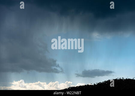 Stürmischen Himmel und Regen über den Pinienwald, schwarze Silhouette. Alpen, Trentino-Südtirol, Italien, Europa Stockfoto